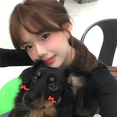 最是海棠绽放时